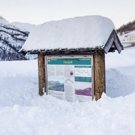 Maristova 109 Filefjell